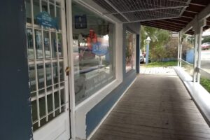 Hocicos Patagónicos