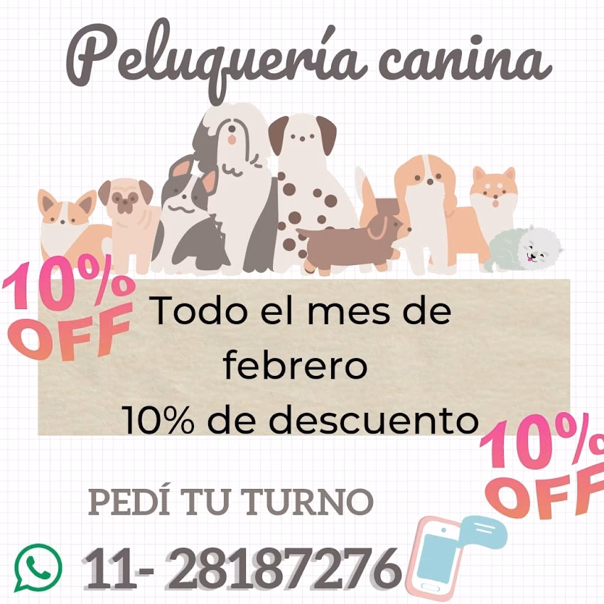 Hocicos Pet Shop