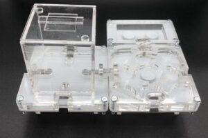 Hormigas Ants ArgentinaVenta de hormigueros en Argentina