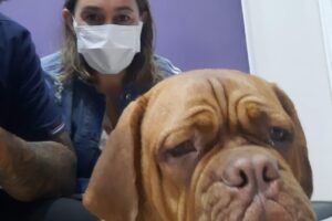 Hospital Veterinario Del Sur
