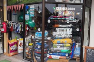 Huellitas en el Camino