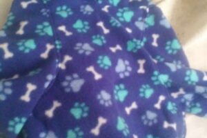 Huellitas indumentaria de mascotas