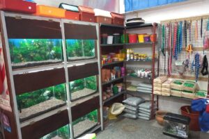 Huellitas pet shop Bg