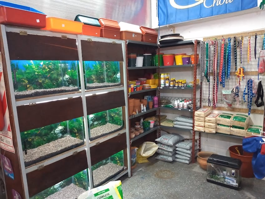 Huellitas pet shop Bg