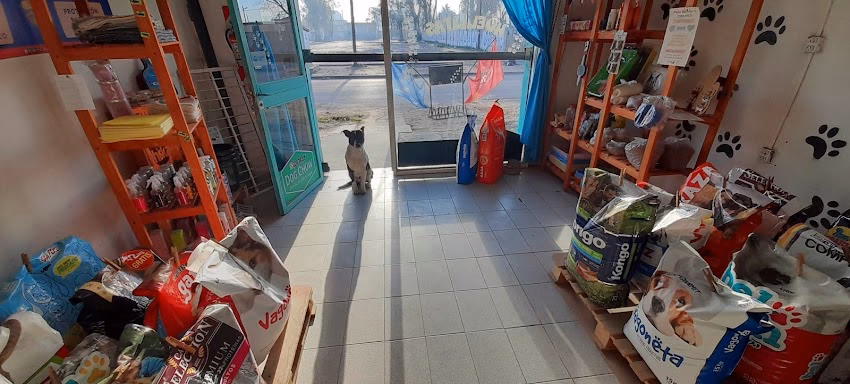Huellitas Petshop
