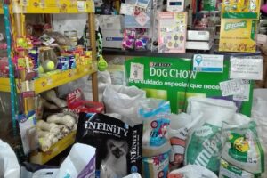 Huesitos La Casa De Tu Mascota