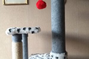 Huesitos Trepadores gatunos