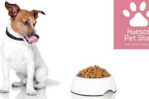Huesos Pet Shop