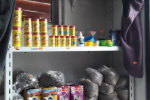 Javi petshop y macetas