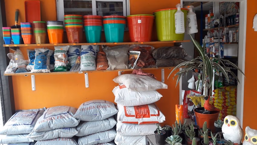 Javi petshop y macetas