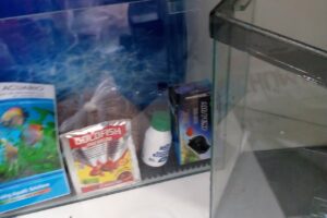 Jumanji tienda de mascotas