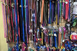 Kangoo Pet Food Versalles 2