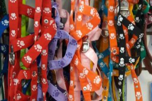 Kilian Tienda de Mascotas