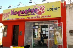 Koquetos mascotas con estilo