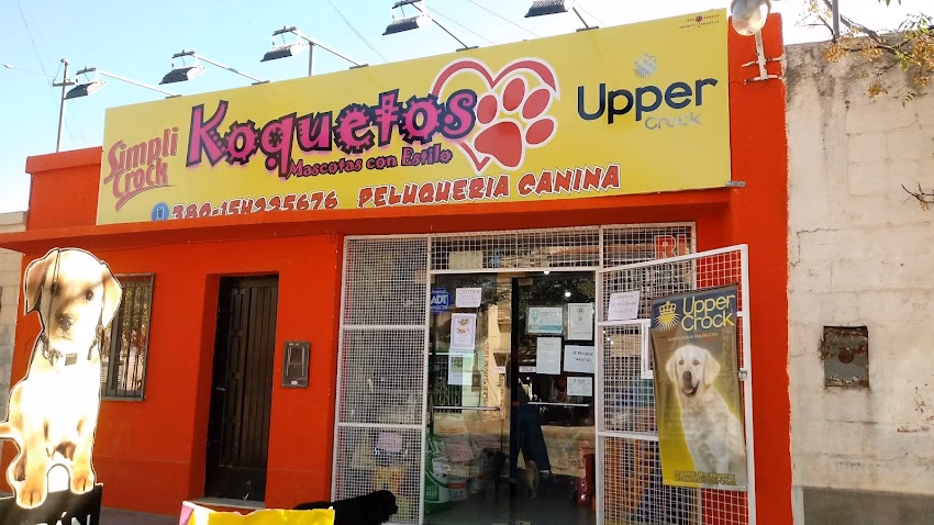 Koquetos mascotas con estilo