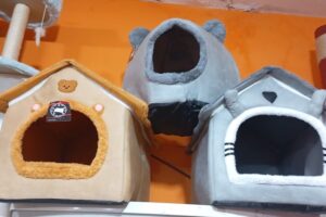 Koquetos Pet Shop