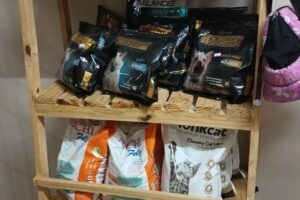 Kotas tienda para mascotas