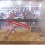 La Boutique De Las Mascotas