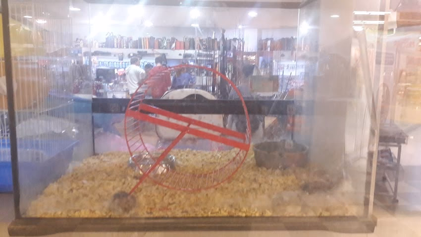 La Boutique De Las Mascotas