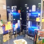 La Boutique de Mascotas