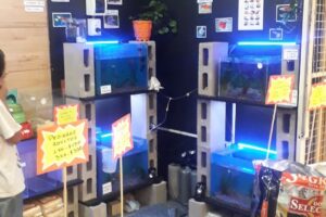 La Boutique de Mascotas