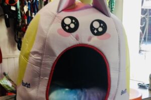 La Carlota Pet Boutique