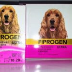 La Casa de Las Mascotas