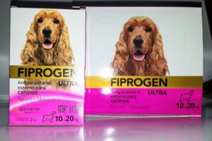 La Casa de Las Mascotas