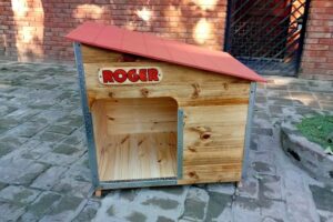 La Casa de tu Mascota No Refugio