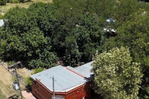 La Casa del Árbol Gouin