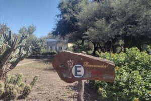 La Colorada Quesos de Cabra