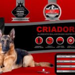 La Esquina de las Mascotas