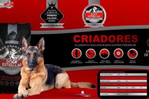 La Esquina de las Mascotas