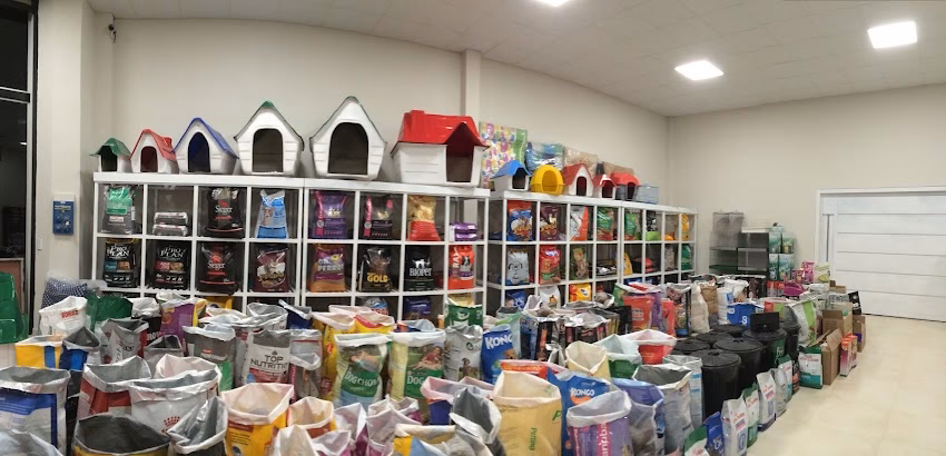 La Esquina De Tu Mascota Semillas Forrajeras