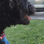 La Granja Veterinaria Pet Shop