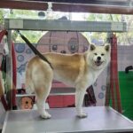 La Granja Veterinaria Pet Shop