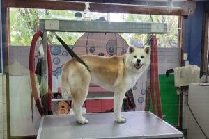 La Granja Veterinaria Pet Shop