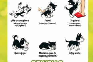 La Huella Mascotas y Bebidas