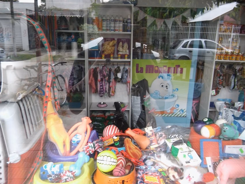 La Morenita Peluqueria Canina