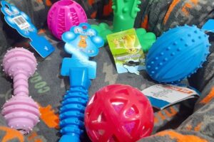 La rotonda almacen de mascotas