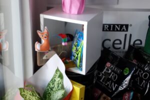 La Tienda de Simon Pet Shop