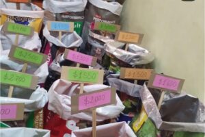 La Ventanita Pet Shop