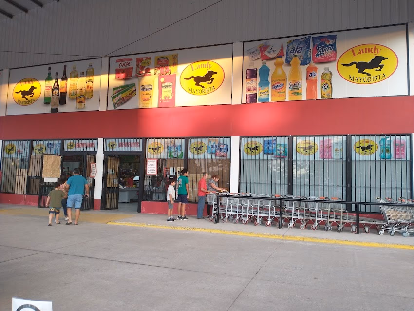 Landy Mayorista