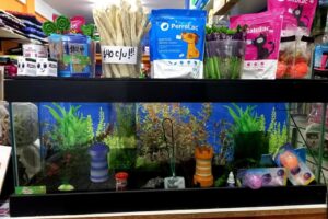 Las Mascotas de Longchamps