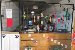 Las Patitas Alimentos para mascotas