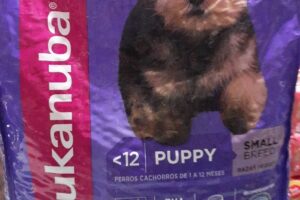 LasQuina Mascotas Hogar Y Jardín