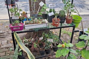 Latuna jardinería y mascotas