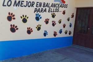 Lexter Alimentos Balanceados