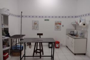 Lo de Fidel Veterinaria