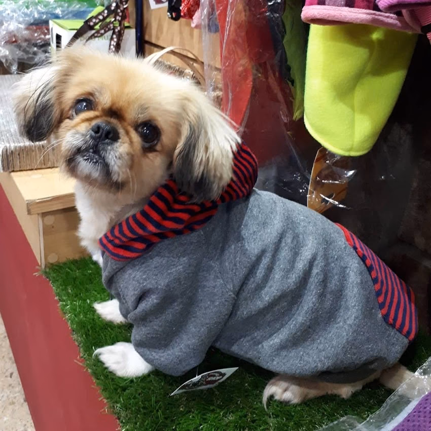 Lo de Moretti Pet Shop